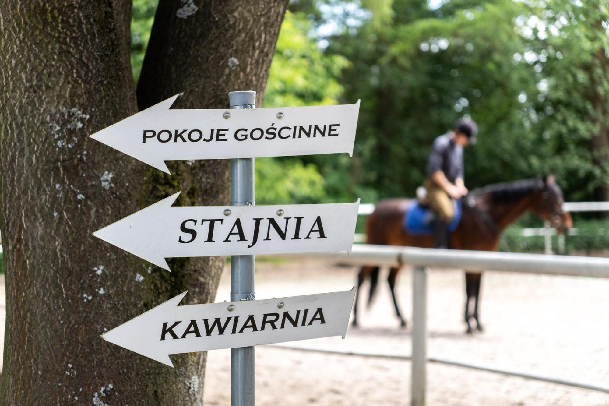 Apartamenty W Dworku Cheval Kraków Exteriör bild